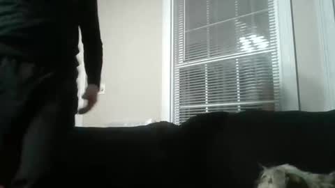 my_banana_creampies online show from 15, 2, 2026