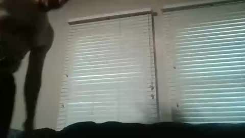 Snapshot of my_little_vienna_sausage chatting on 16, 11, 2025 vienna online show from 16, 11, 2025