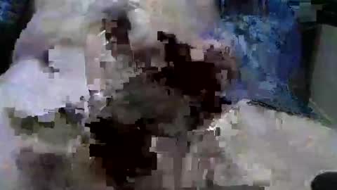 mycock594498 online show from 9, 1, 2025