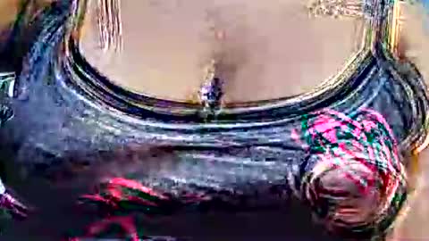 myhoney_hot online show from 21, 2, 2026