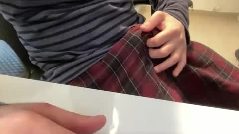 myStallion online show from 31, 3, 2026