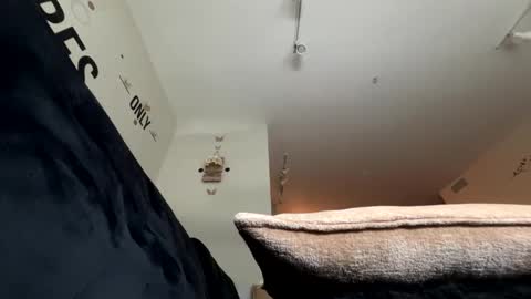   Mystery   online show from 2, 5, 2026
