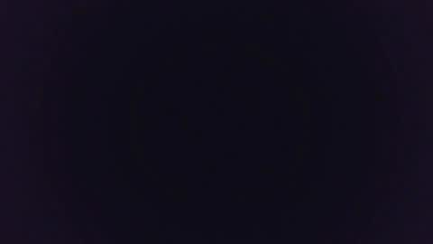 MysteryMonkey online show from 11, 1, 2025