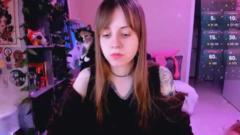 Monday-Friday 12-4 AM and 6-9 AM New York time online show from 24, 2, 2025