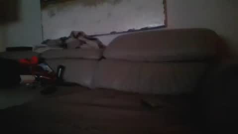 nassobout online show from 24, 12, 2024