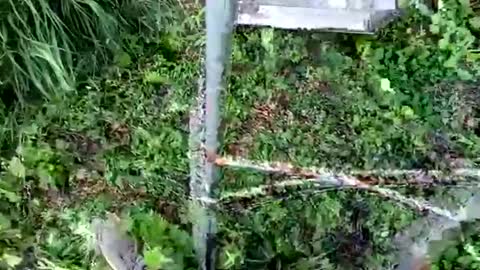 nata1974 online show from 18, 10, 2025