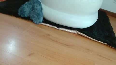 nath_dawson online show from 28, 1, 2025