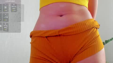 Snapshot of natural_form chatting on 29, 4, 2026 peach online show from 29, 4, 2026