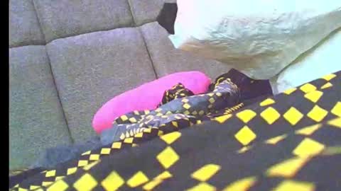 Snapshot of naughty_bitch0 chatting on 19, 1, 2026 Jasmin online show from 19, 1, 2026