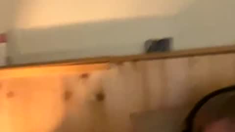 Naughtydaddy36 online show from 30, 11, 2025