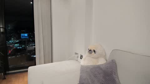 Gigi Chu  online show from 16, 1, 2025