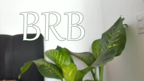 Nayah Williams  - OnlyFans  online show from 7, 12, 2024