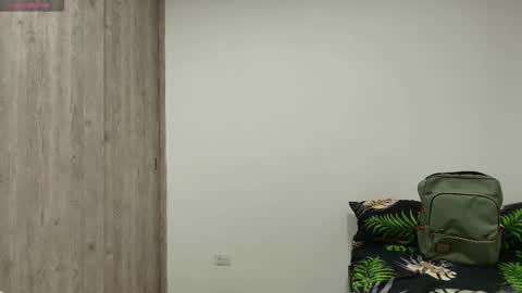 Snapshot of nayton_and_lex chatting on 16, 11, 2025 Naytoon online show from 16, 11, 2025