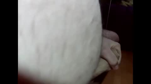 Snapshot of ncbncb chatting on 1, 3, 2025 ncbncb online show from 1, 3, 2025