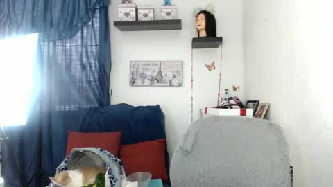 Star  online show from 24, 1, 2025