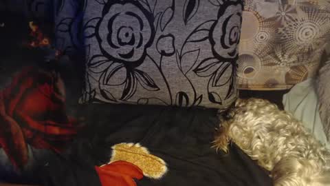 Lilly  online show from 6, 4, 2026