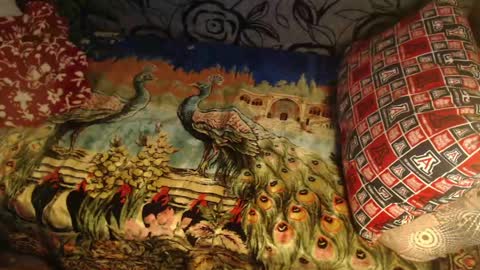 Lilly  online show from 10, 4, 2026