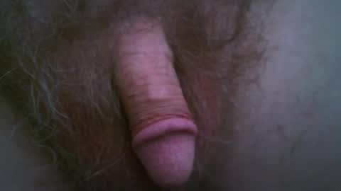 newc09 online show from 14, 9, 2025