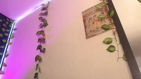  niakat  online show from 21, 3, 2026