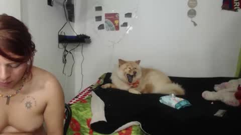 Nickyandcam online show from 11, 4, 2026