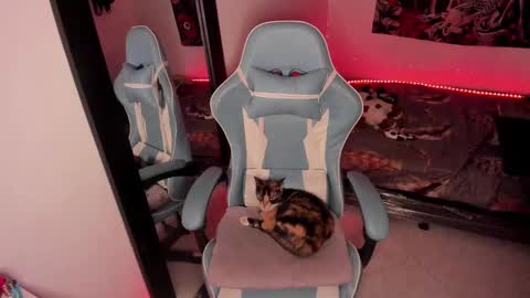 Nicol independent model online show from 14, 1, 2025