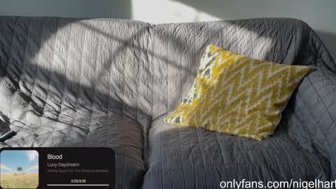 Snapshot of nigelhart chatting on 17, 1, 2025 Nigel Hart online show from 17, 1, 2025