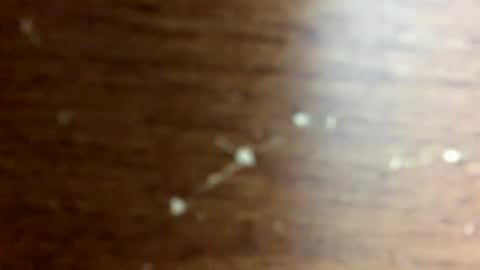 nightmoves1970 online show from 14, 10, 2025