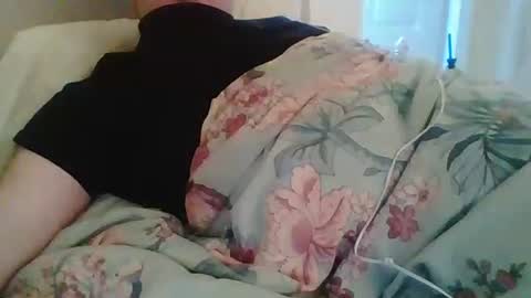 Nijinsky11 online show from 15, 2, 2026