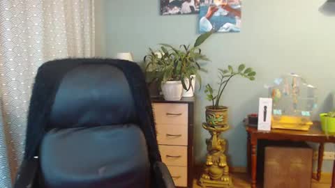 Nika online show from 4, 3, 2025