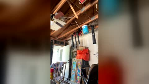 Nikkie online show from 3, 4, 2026