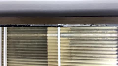 Snapshot of nikkii_vegaa chatting on 14, 10, 2025 Nikki online show from 14, 10, 2025