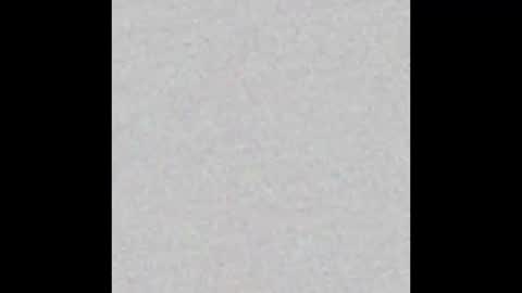 Nikki Ramone   online show from 19, 1, 2026