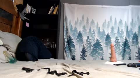 Nikki online show from 19, 1, 2025