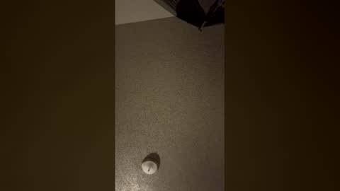 Snapshot of nikkitag93 chatting on 18, 12, 2025 nikkitag93 online show from 18, 12, 2025