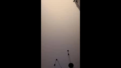 neighbours online show from 16, 1, 2026