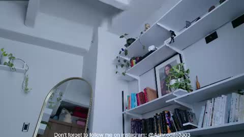 Nicole cam online show from 25, 7, 2026
