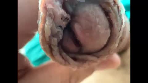 Nikolay online show from 22, 4, 2026