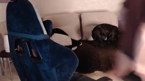 Nikolos online show from 29, 1, 2025