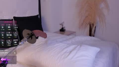 Nina online show from 12, 6, 2026