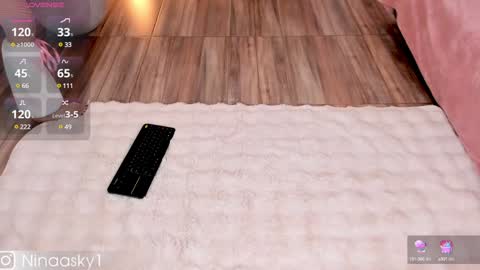 Snapshot of ninaa_sky chatting on 11, 12, 2024 online show from 11, 12, 2024