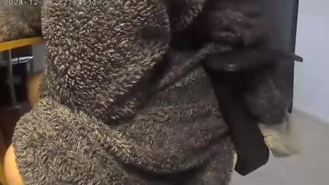 nineinchhard online show from 5, 12, 2024