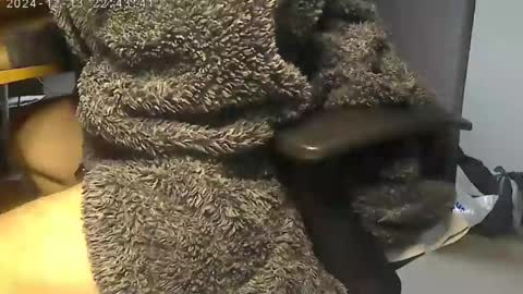 nineinchhard online show from 12, 12, 2024