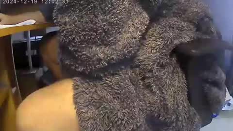 nineinchhard online show from 19, 12, 2024