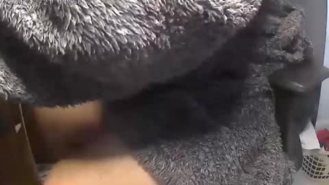 nineinchhard online show from 21, 12, 2024