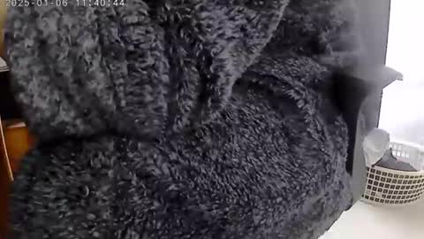 nineinchhard online show from 6, 1, 2025