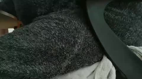 nineinchhard online show from 22, 10, 2025