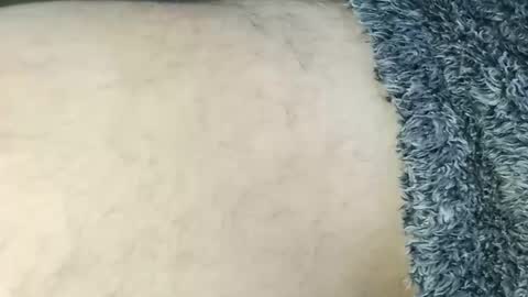 nineinchhard online show from 2, 3, 2026