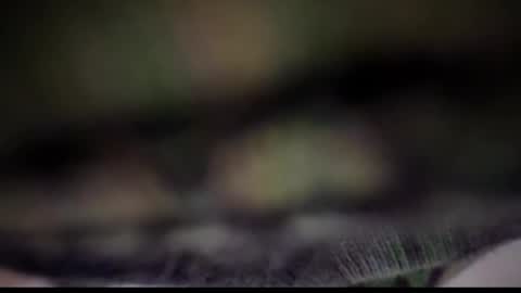 Snapshot of nloraaa chatting on 25, 2, 2025 Tears Lora online show from 25, 2, 2025