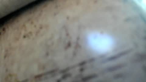 Noah online show from 29, 1, 2025