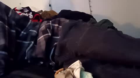 Noah Wesley online show from 10, 12, 2024